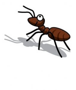 شعر | واحد کار حشرات | مورچه