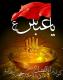 شعر | واحد کار محرم و روز عاشورا