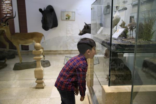 اردوی حیات وحش دارآباد