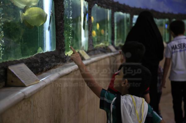 اردوی حیات وحش دارآباد