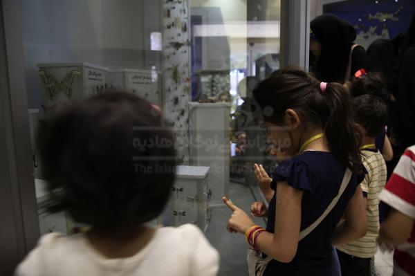اردوی حیات وحش دارآباد