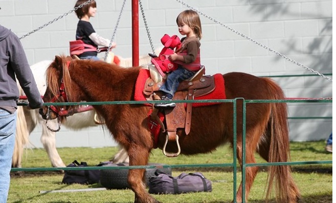 انتخاب یک اسب پونی برای کودکان