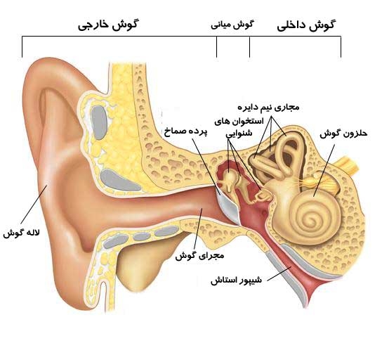 نشانه های عفونت گوش میانی در کودکان و راه های پیشگیری از آن