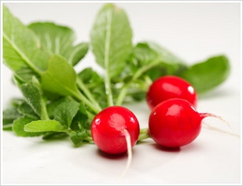 خواص ترب در طب سنتی