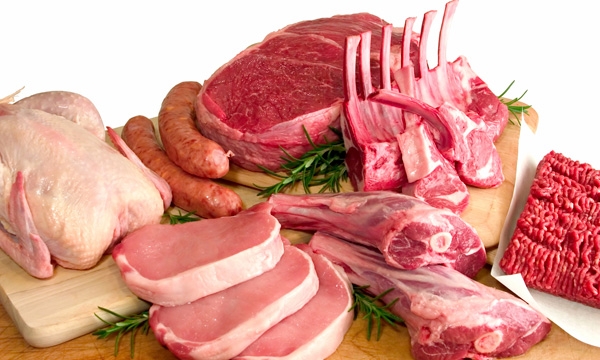 شروع تغذیه با گوشت و مرغ و ماهی