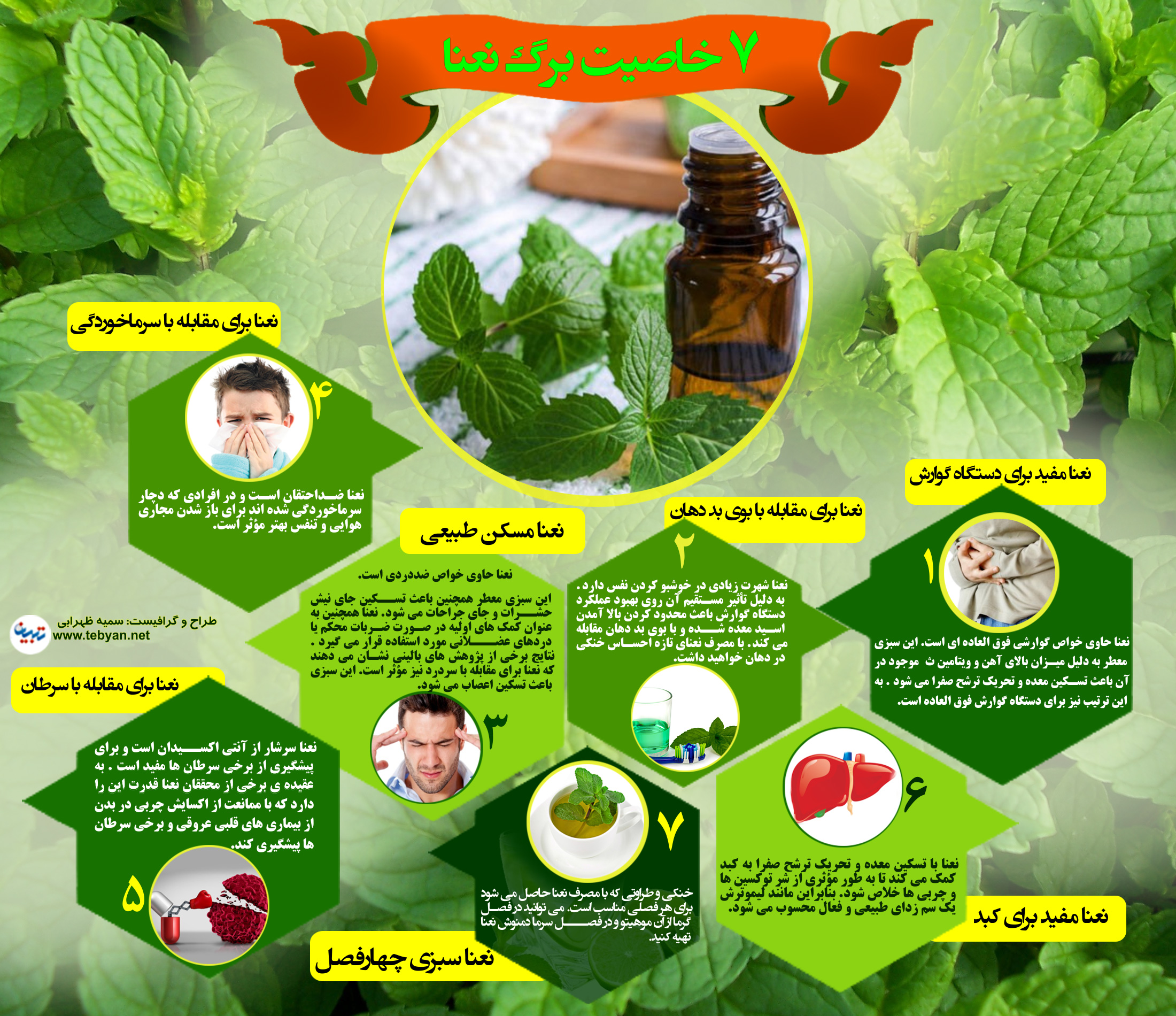 خواص برگ نعنا