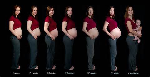 اندازه ی شکم در بارداری
