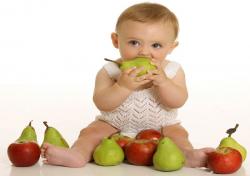 تغذیه میوه برای نوزاد را از چه میوه هایی باید آغاز کرد؟