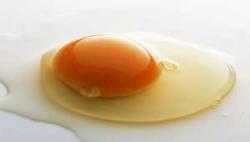  زرده تخم مرغ در برنامه روزانه کودک 