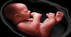 ارزیابی دوره ای و متناوب سلامت جنین
