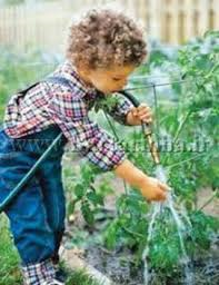 ارتقای دانش کودکان با باغبانی کردن 