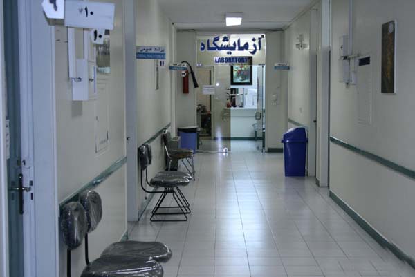 پیشنهاد هفته چهاردهم بارداری