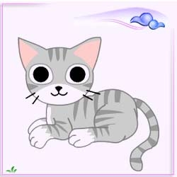 داستان |  گربه پرنده