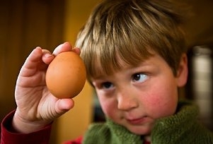 آزمونی برای تشخیص کودکان بیش فعال