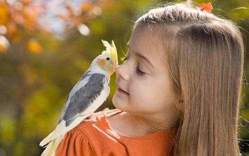 چرا خدا حیوانات بیچاره را طوری آفریده است که آن ها نتوانند حرف بزنند ؟ 