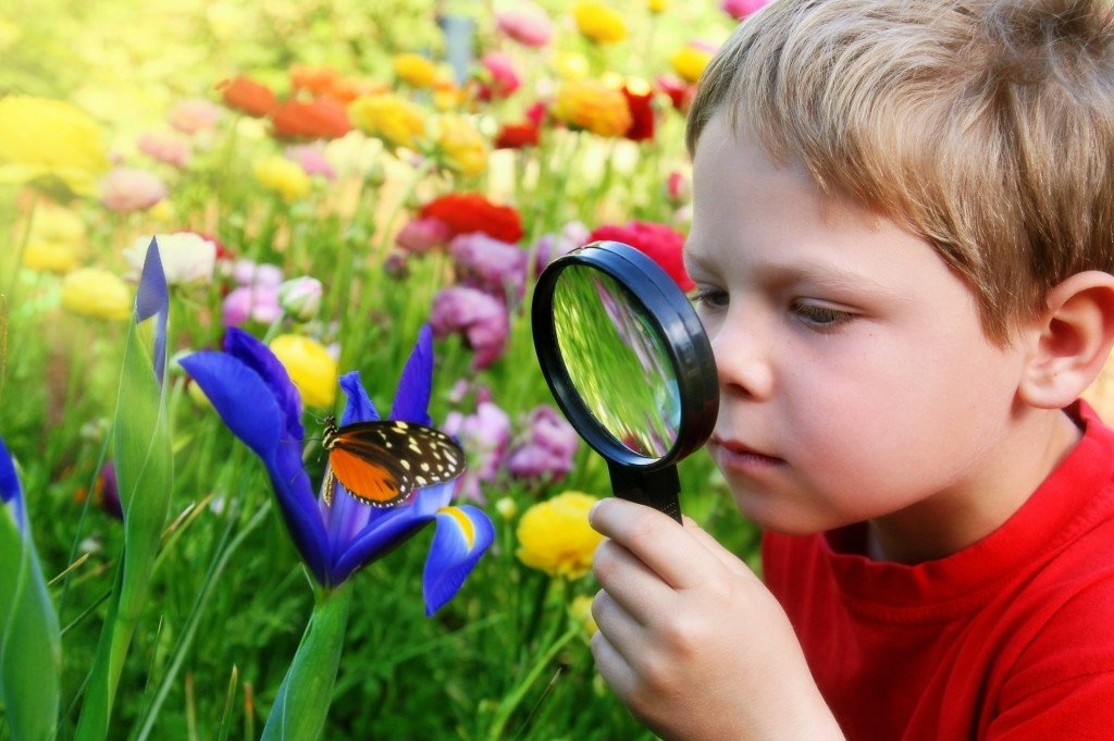 کنجکاوی موجب یادگیری کودکان می‌شود