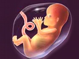 چه مواردی در دوران بارداری روی جنین تاثیر دارد؟