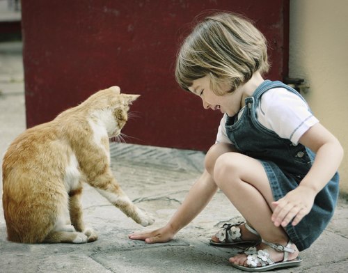 مهربانی را به کودک بیاموزید