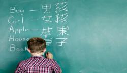 مسئله آموزش زبان بیگانه