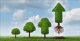 تربیت مهدوی، شکوفا کنندۀ استعدادها